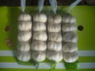 Chinese fresh garlic