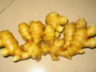 chinese fresh ginger