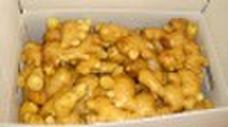 chinese fresh ginger