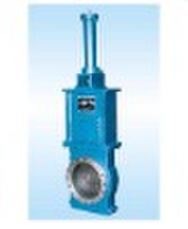 Gate Valve