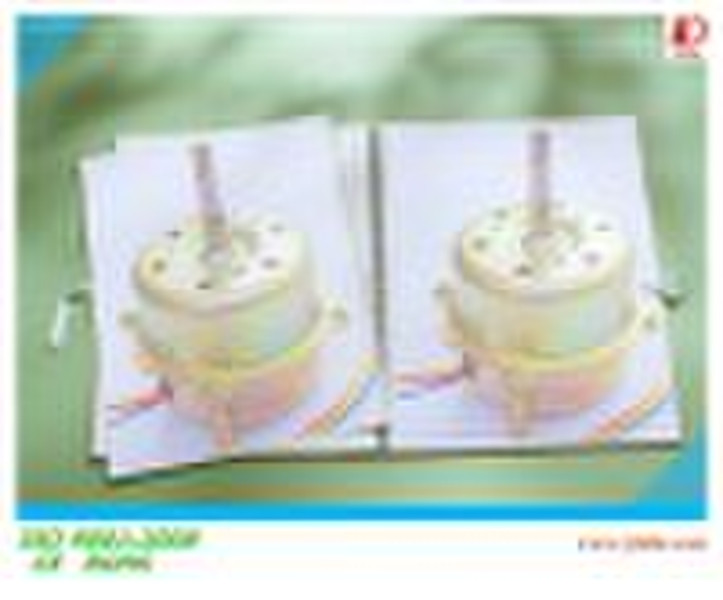 Ventilator Motor