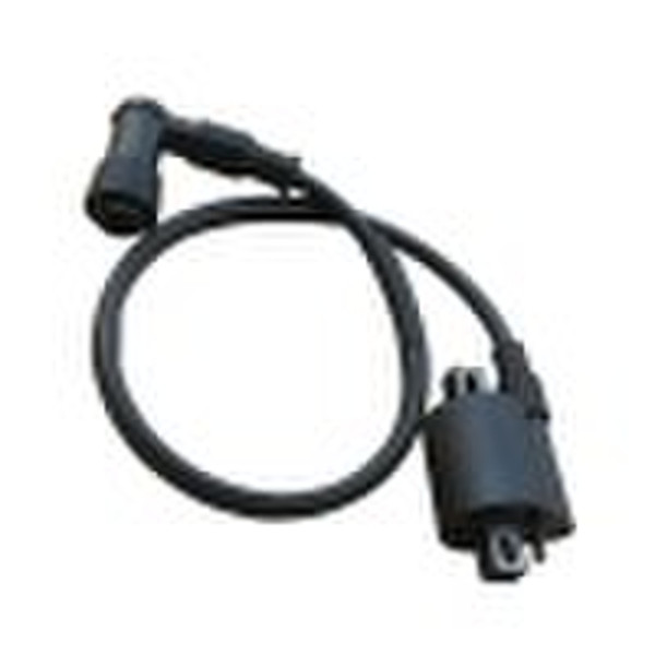 CG125 Ignition Coil