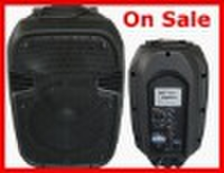 Professional audio PA speaker, Pro loudspeaker