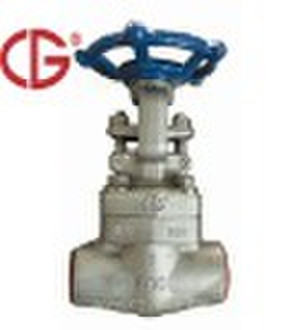 Forged Steel Gate Valve