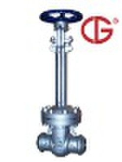 Cryogenic Gate Valve