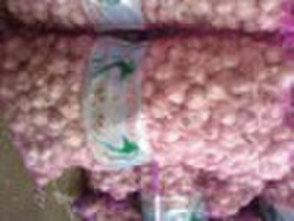 fresh garlic (2010 crop)