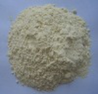 onion powder