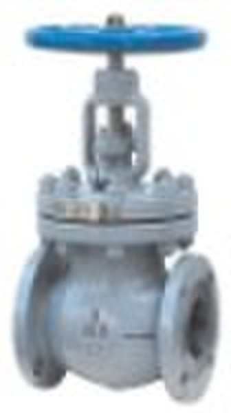 API Globe valve