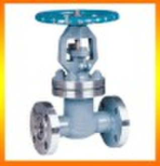 Stainless steel Gate valve