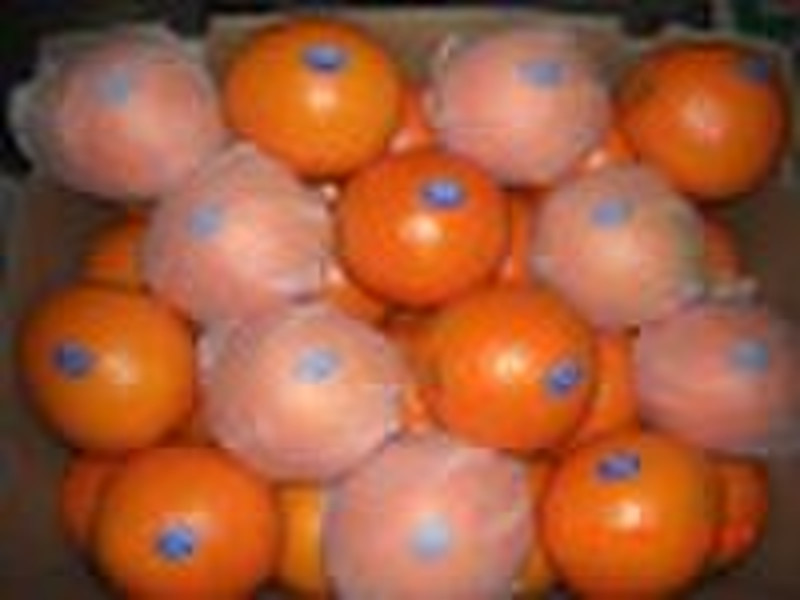 Navel Orange