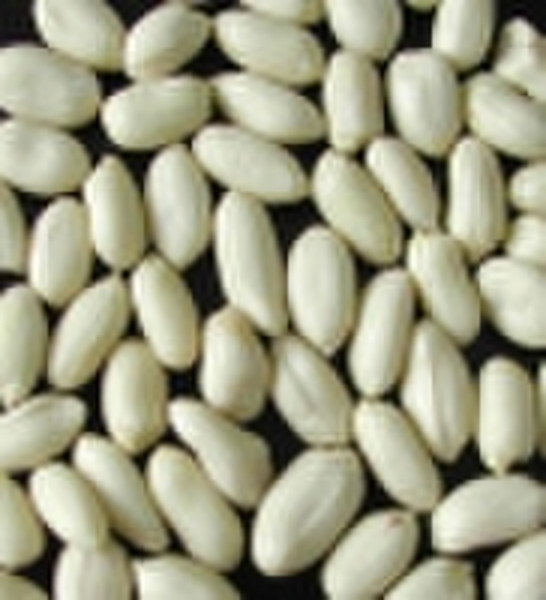 blanched peanut