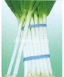 bunching onion vegetable seeds