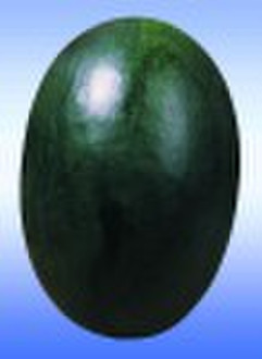 Schwarz Watermelon seed