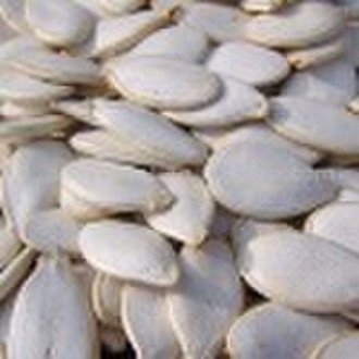 White Pumpkin Seeds