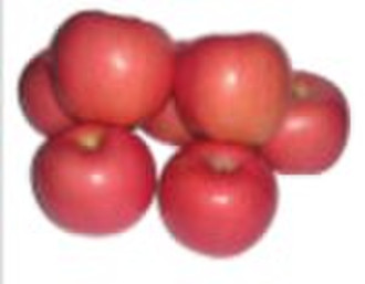 Red Fuji apple