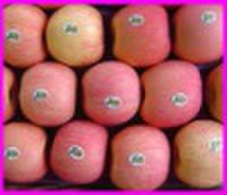 fresh  apple