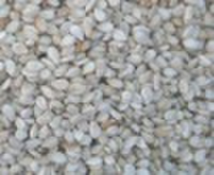 Ethiopia Humera whitish sesame seeds