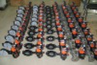 PNEUMATIC ACTUATOR