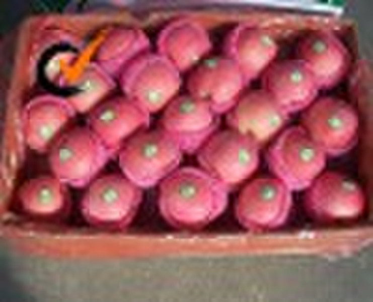 Fuji Apple