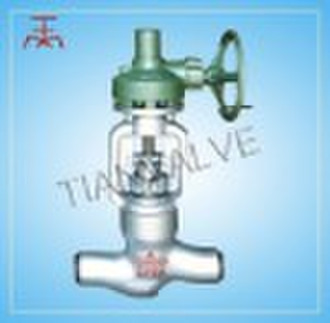 globe valve