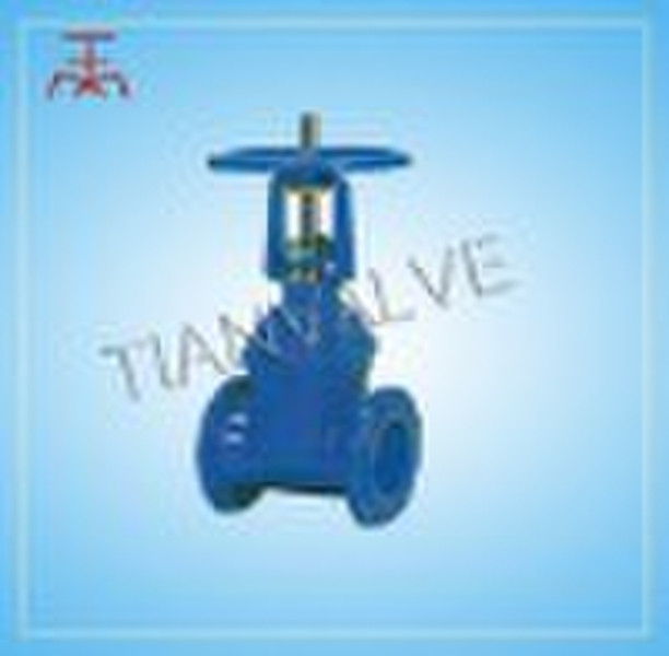 gate valve