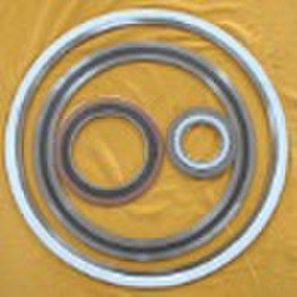 Metal Graphite Spiral Wound Gasket