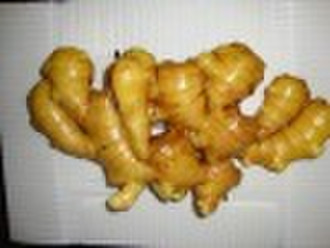 fresh ginger