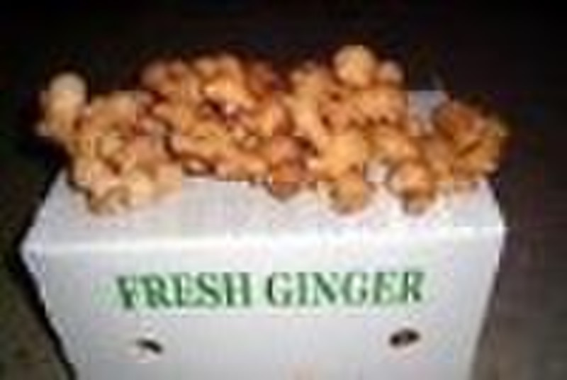 fresh china ginger