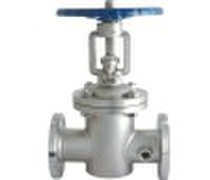 steam jacketed gate valve