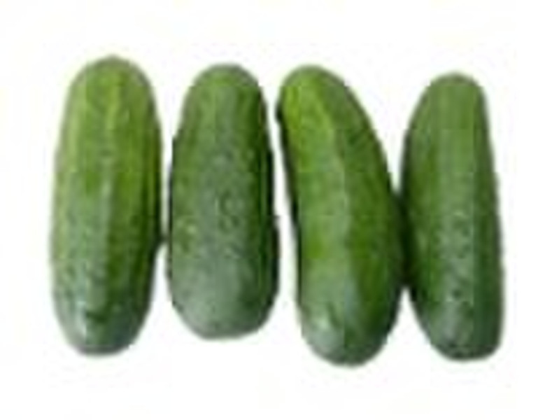 U.S. cucumber