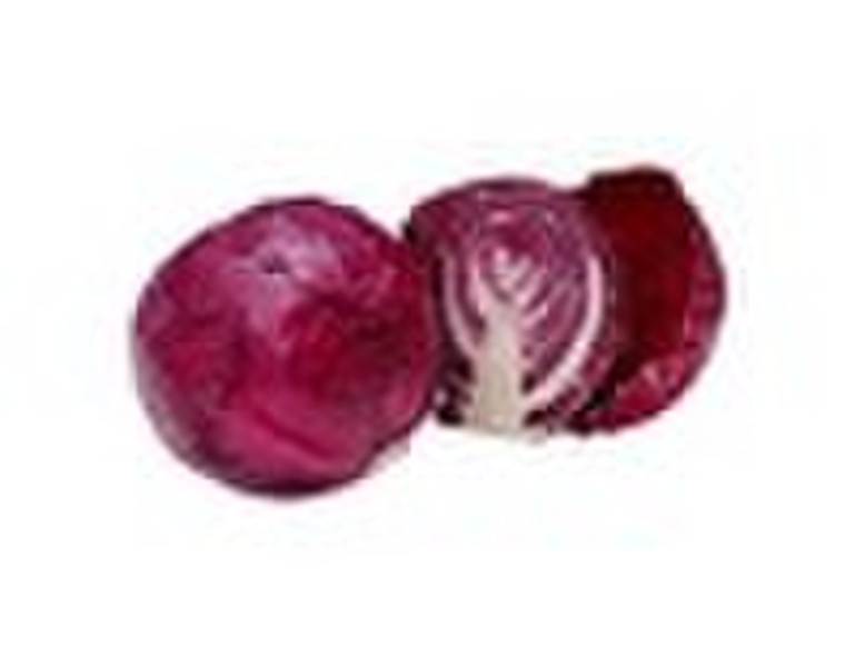 Purple Cabbage