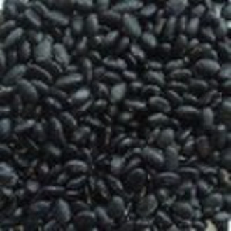 Organic Black Soybean With Green Kernel