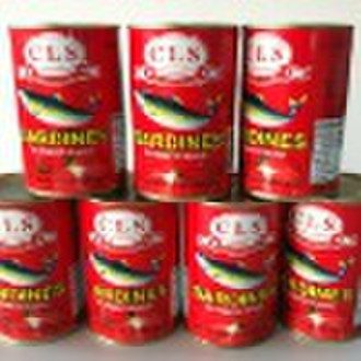 Sardines with Tomato Sauce in Can