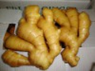 fresh ginger