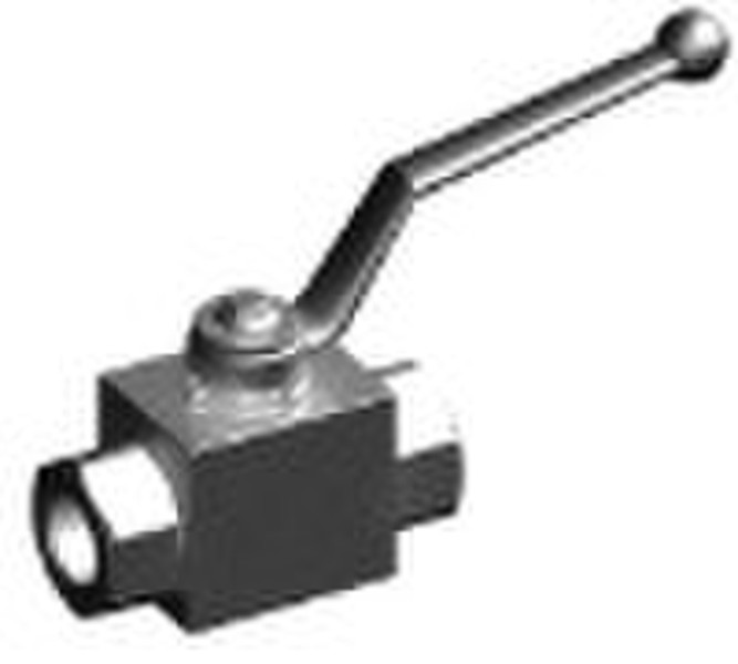 Stainless Steel  Ball Valve