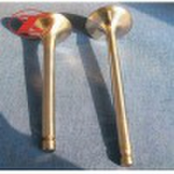 Engine Valve for Auto and Motorcycle