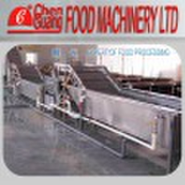 Processing Line before Vegetable And Fruit Quick-f