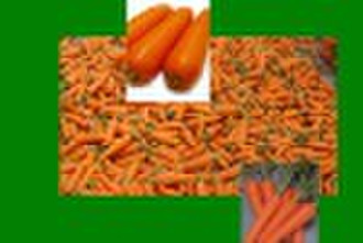 new crops carrot