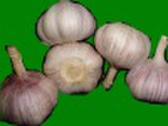 red garlic