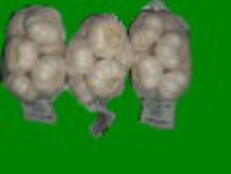 pure white garlic(500g)