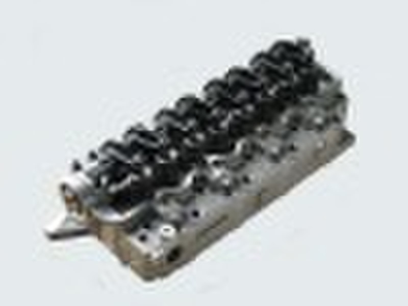 4D56T-Complete Head for MITSUBISHI