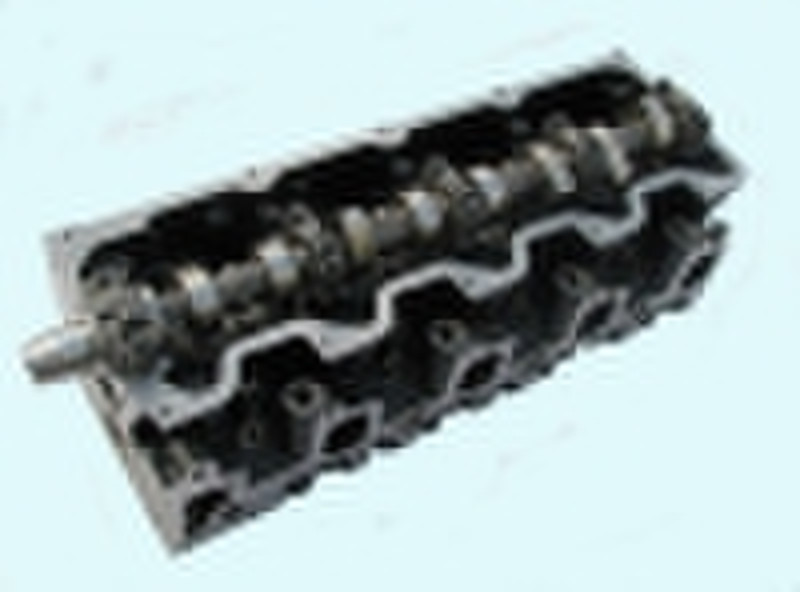 2L,3L,5L Complete Head for TOYOTA