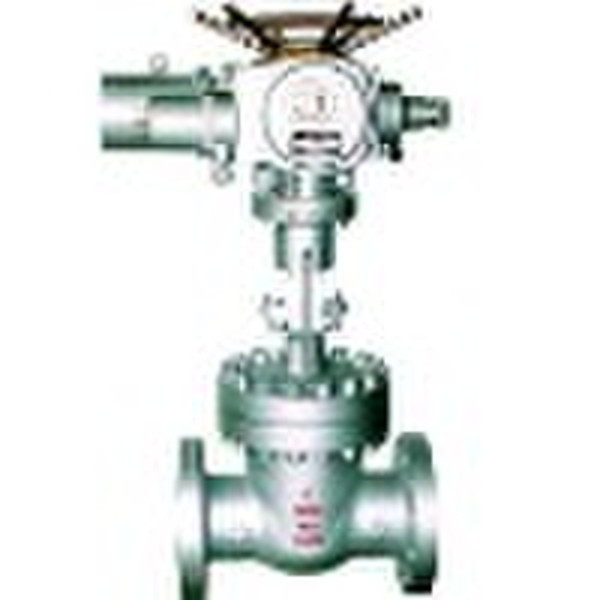 electric gate valve