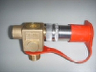 CNG Valve