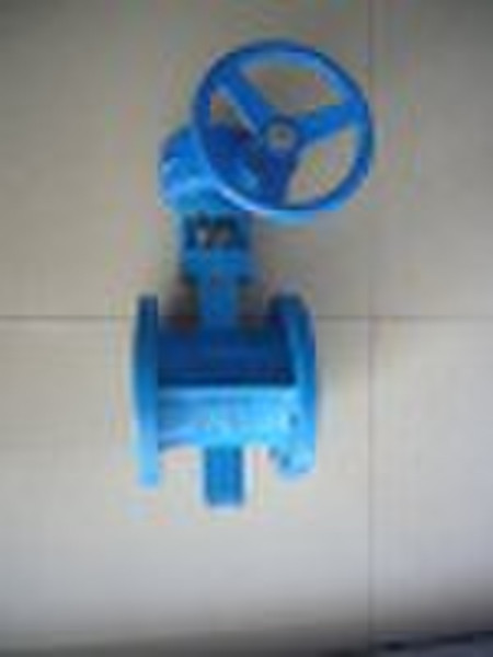 Worm Gear Flanged Butterfly Valve