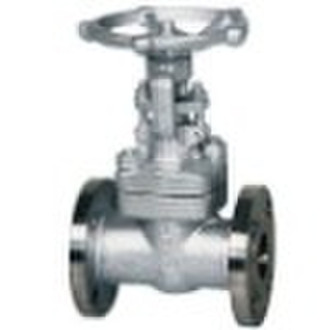 cast steel valve