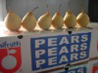 Fresh Pear