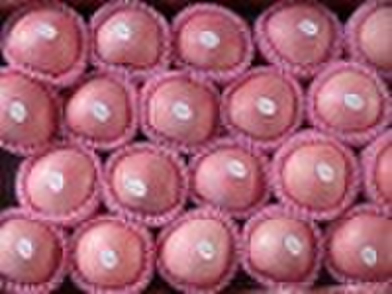 Chinese fresh fuji apple
