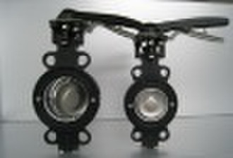 PTFE butterfly valve