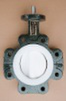 PTFE butterfly valve (stainless steel body)